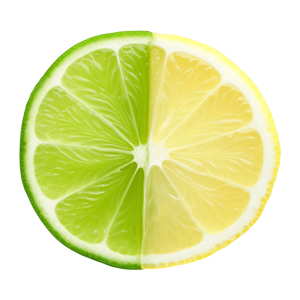 Limonss Bilişim